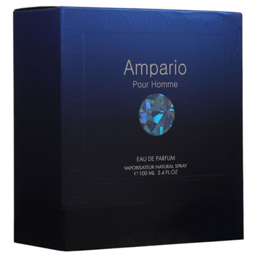 Ampario Pour Homme EDP 100ml by Flavia