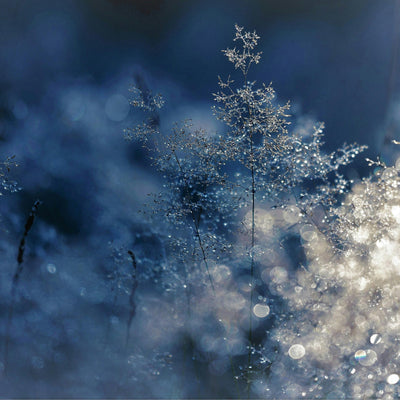 Winter Fragrance Transition: Choosing Your Cold Weather Signature Scent