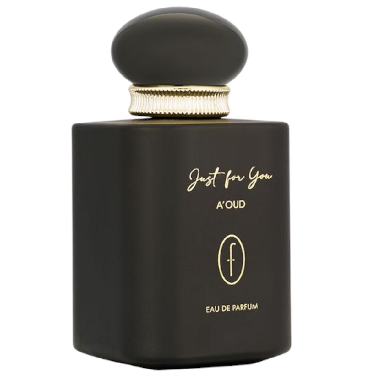 A'oud Just For You EDP 100ml by Flavia